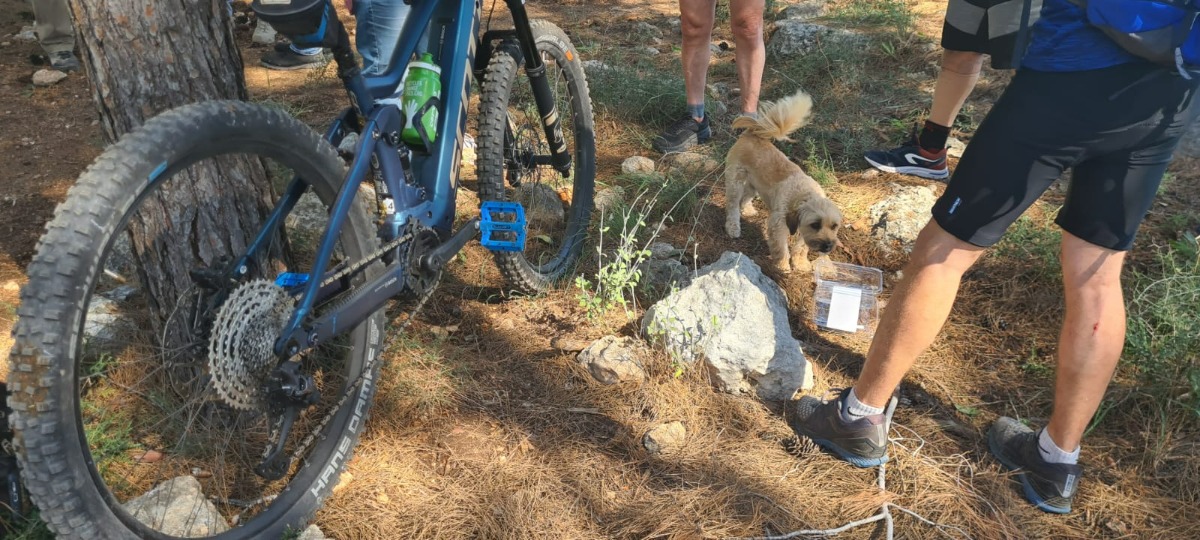 הזמנו לקפה רוכב עם הכלב החמוד שלו